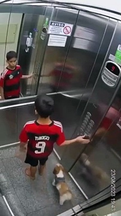 Young Kids Save Dogs Life