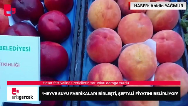 'Meyve suyu fabrikaları birleşti, şeftali fiyatını belirliyor'... Hasat festivaline üreticilerin sorunları damga vurdu | Haber: Abidin YAĞMUR