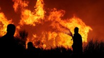 Miles de evacuados por los incendios en Grecia