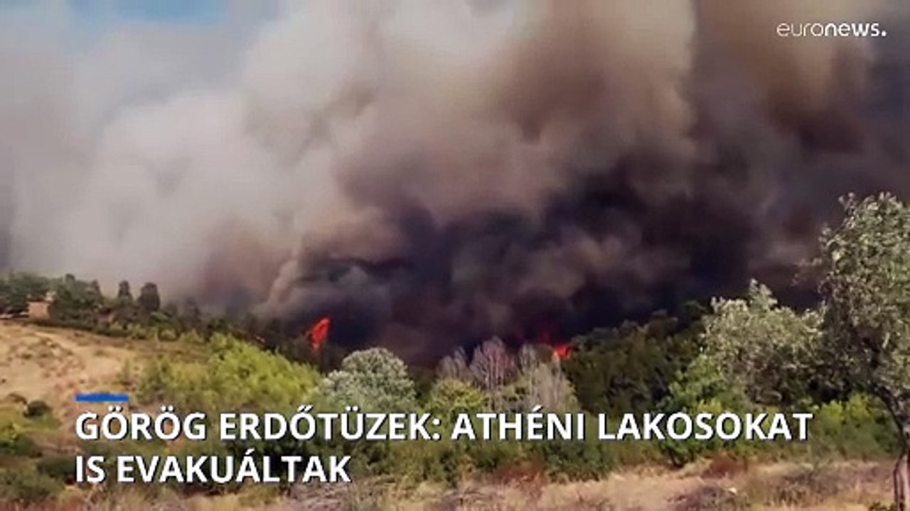 Athéni lakosokat is evakuáltak a görögországi erdőtüzek miatt