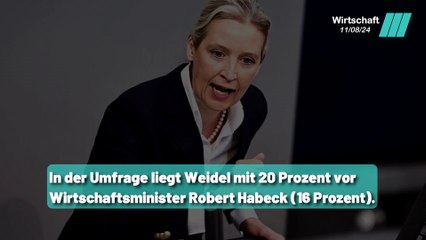 Weidel vs. Habeck: Wer hat die größere Wirtschaftskompetenz ?