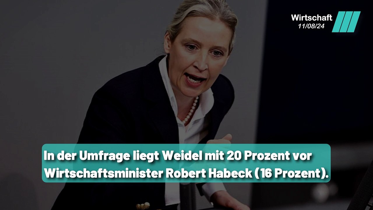 Weidel vs. Habeck: Wer hat die größere Wirtschaftskompetenz ?