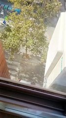 nebulizador nuvola 2 ciesse