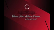 Thara paisa Theri Daulet_Slowed+revb_DJ Remix Viral song 2024