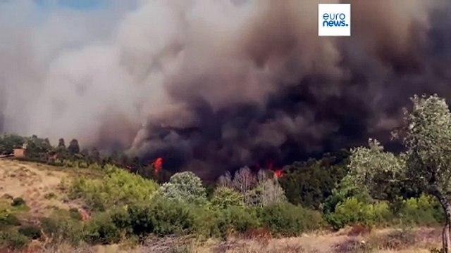 Incêndio florestal perto de Atenas é alimentado por ventos fortes e temperaturas elevadas