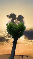 True love never dies.