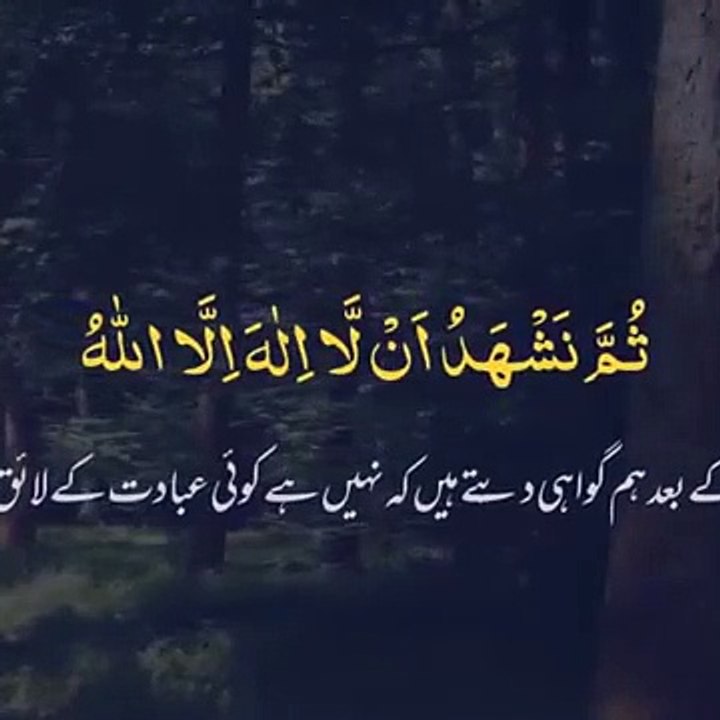 Beautiful voice