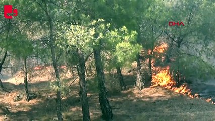 Manisa'daki orman yangını üçüncü günde kısmen kontrol altında