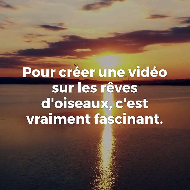 Rêver d'oiseau : Interprétation et Signification