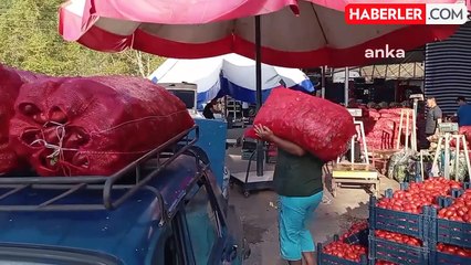 Kadirli'de Salçalık Biber Satışları Başladı