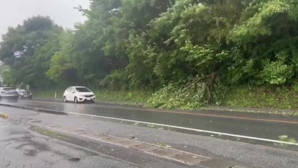 제5호 태풍 日 상륙..."하루 최대 250㎜ 물폭탄 가능성" / YTN