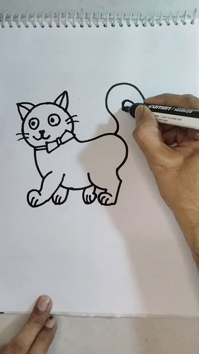Learn to draw a cute cat