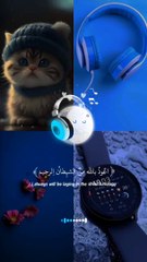 Recite of Holly Quran