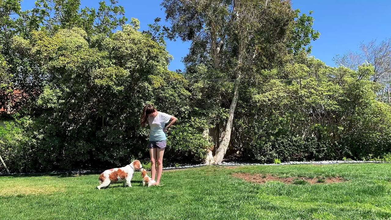 Day in the Life _ A Productive (yet FUN) Vlog With Me in LA _ My Puppy, Editing, Skincare, & Workout