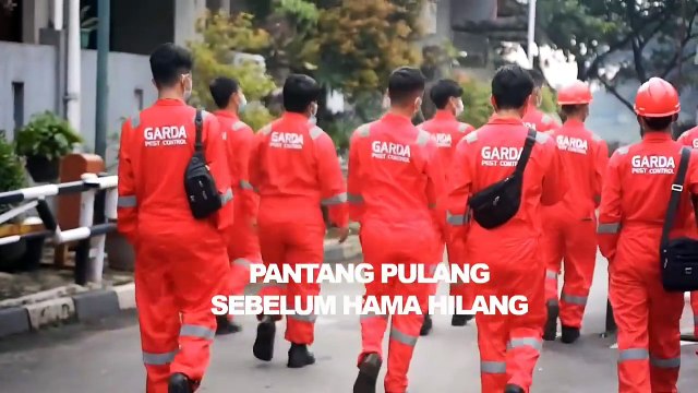 Harga Jasa Pembasmi Kecoa di Mobil Area Jogja - Garda Pest Control Jogja