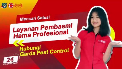 Apa penyebab adanya kutu kasur - Jasa Pembasmi Kutu Kasur di Jogja dari Garda Pest Control