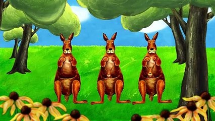 Learn the ABCs in Lower-Case_ _k_ is for kite and kangaroo