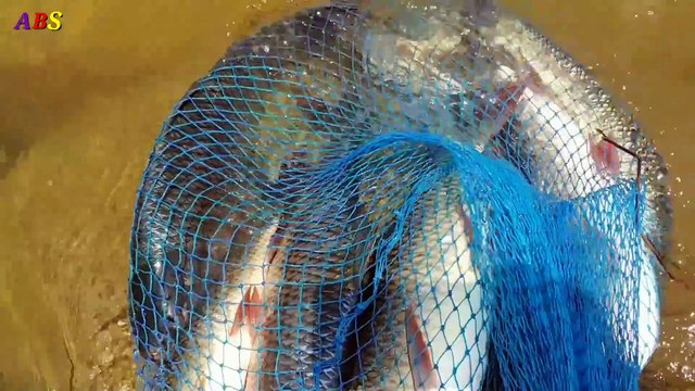 Fishing _ Fish Catching _ Best Fishing Techniques _ Catching Rohu Fish(1080P_HD)