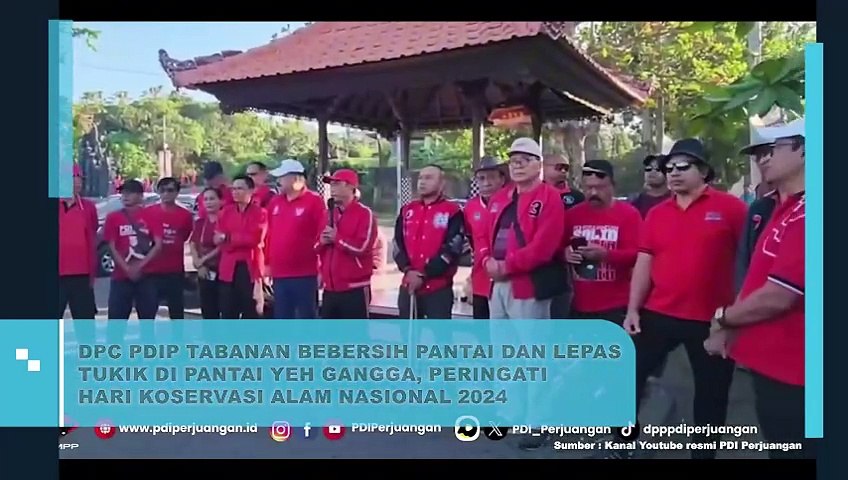 DPC PDIP Tabanan Bebersih Pantai dan Lepas Tukik di Pantai Yeh Gangga, Peringati Hari Koservasi Alam Nasional 2024