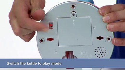 Just Like Home Steam Kettle