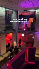 Une exposition immersive originale 