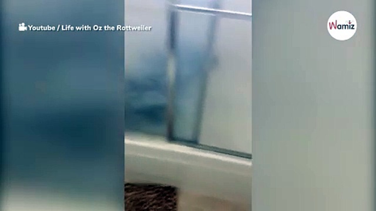 Kobieta sama w domu nagle słyszy wodę płynącą w łazience. Kiedy otwiera drzwi, nie wierzy własnym oczom!