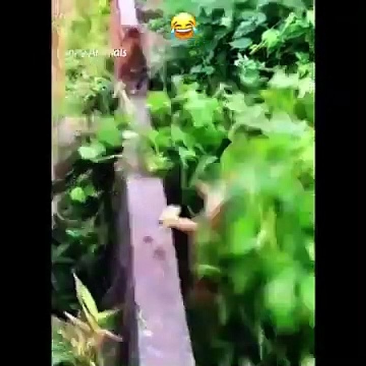 So funny
