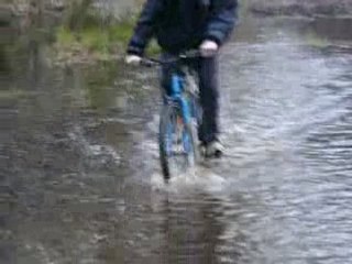 Michou et david en foret