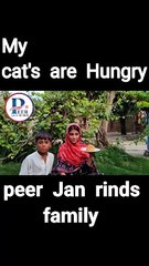 My cat's Etting cake