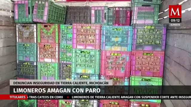 Limoneros de Tierra Caliente amenazan con paro ante inseguridad en Michoacán