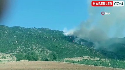 Nazilli'de makilik yangını söndürme çalışmaları devam ediyor