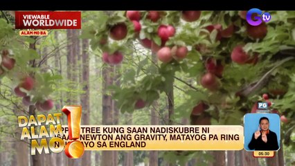 ‘Gravity Tree,’ matayog pa ring nakatayo sa England | Dapat Alam Mo!