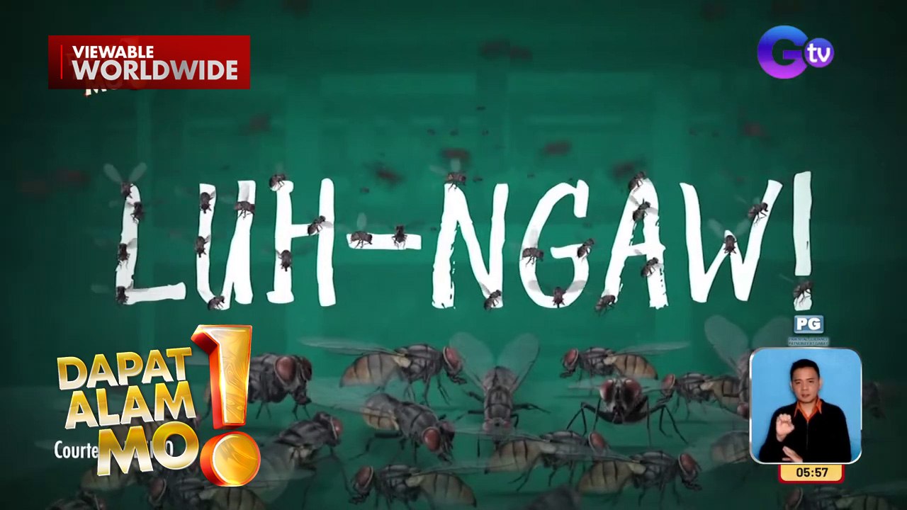 Poultry farms, itinuturing dahilan ng sandamakmak na langaw sa isang barangay | Dapat Alam Mo!