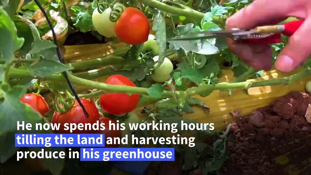 Palestinians return to farming as war halts Israeli work permits