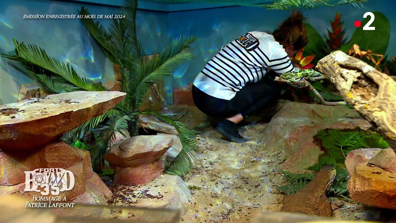 [AVANT-PREMIERE] Fort Boyard 2024 - Zoo (14/08/2024)