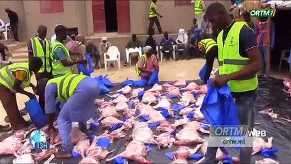 Journal TV de Tombouctou sur Afrique Charity