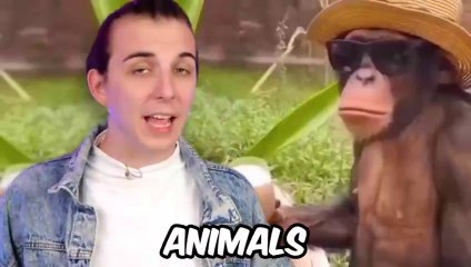 Funniest Animals On The Internet!