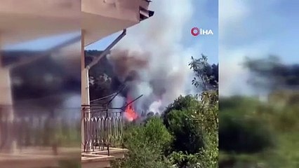 Kütahya'da orman yangını