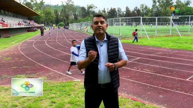 Destino Verde | París y Teahupo'o Olimpiadas 2024 | 31-07-2024