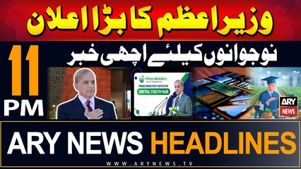ARY News 11 PM Headlines | 12th August 2024 | PM Shehbaz's Big Announcement
