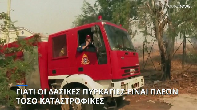 Γιατί οι δασικές πυρκαγιές λαμβάνουν τόσο γρήγορα τόσο μεγάλες διαστάσεις