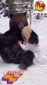 animals and lovely girl lovely kissing#kissing#touching#girls#love#new#