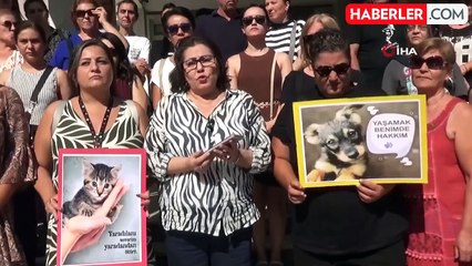 Manisa'da Ev Bahçesindeki Yavru Kedileri Öldüren Şüpheli Tutuklandı