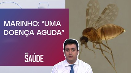 Oropouche: Identificada pela primeira vez no Brasil em 1960 | JP SAÚDE