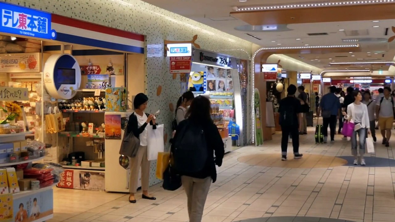 Is Your Pet Afraid of the Vet? Here's How to Help Them Feel Comfortable