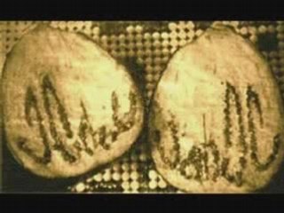 The Miracles Of Allah