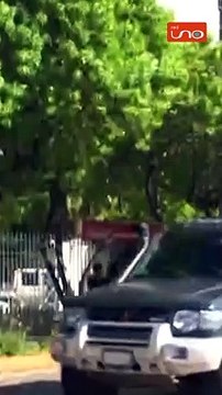 #EnRedUno | El gobierno de nuestro país anunció una nueva gasolina que estará a la venta.¿De qué se trata? ¿Cuáles son las diferencias entre las distintas gasolinas?