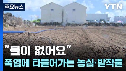 "물이 없어요"...폭염에 타들어가는 농심·밭작물 / YTN