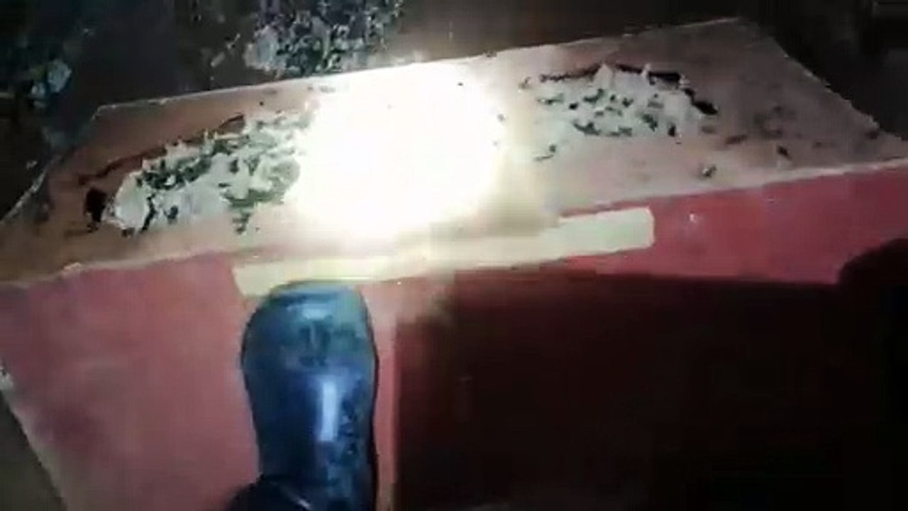 YELLOW JACKET NEST REMOVAL,VESPA MANDARINIA,MURDER HORNET NEST,ASIAN GIANT MASSIVE WASP INFESTATION