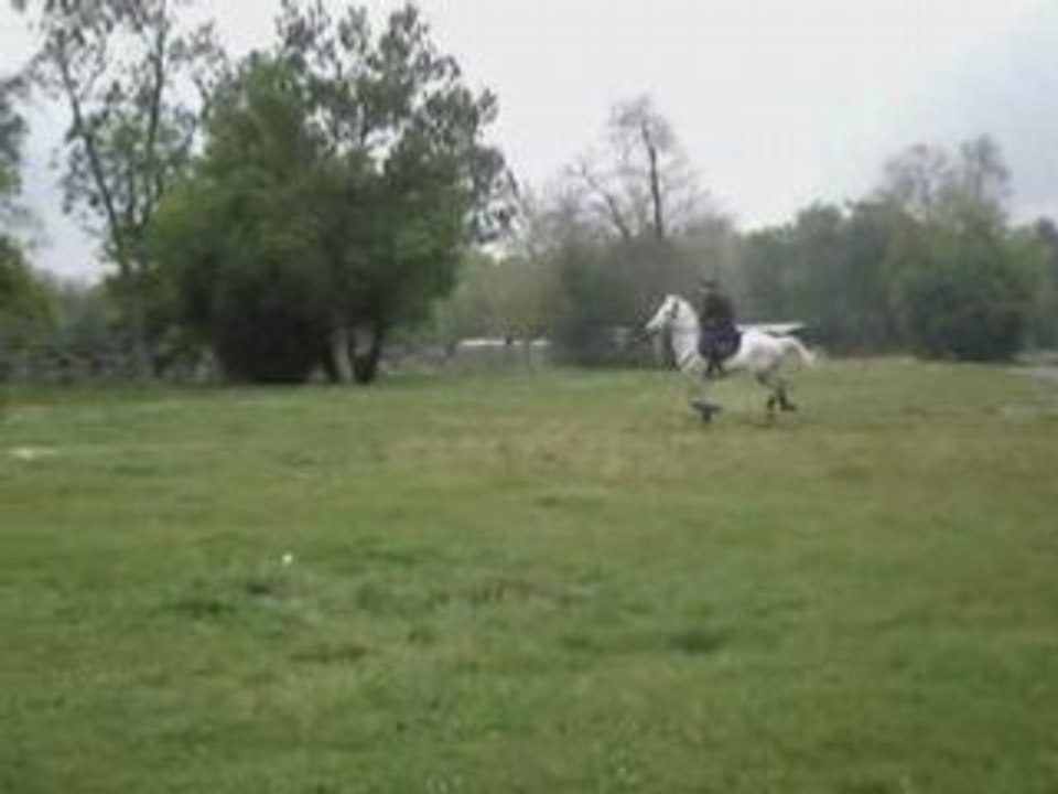 Cross cirocco sox école vétérinaire toulouse